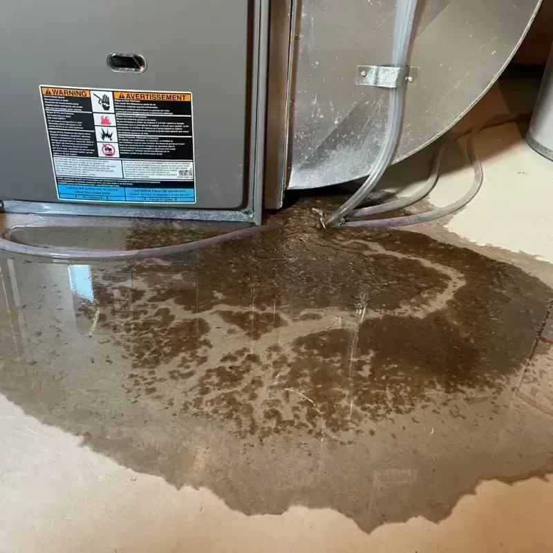 Appliance Leak Cleanup in White Pine County, NV